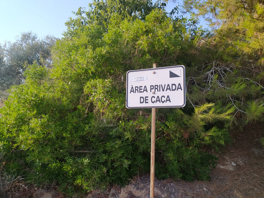 Els caçadors de les Terres de lEbre es preparen per la mitja veda